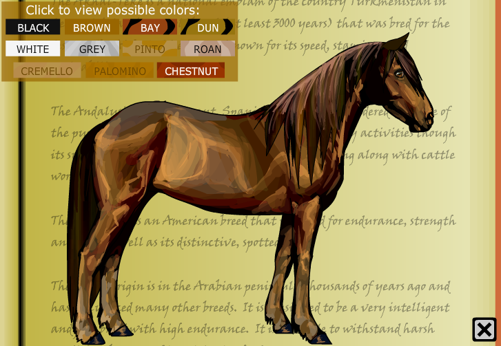 udsende Lav vej Akvarium Highland Pony - Horse Isle Ultimate Guide