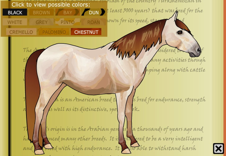 Rocky Mountain Horse Color Chart